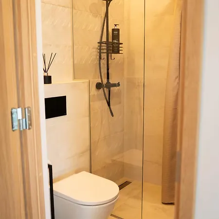 Апартаменты Lux Penthouse With Sauna