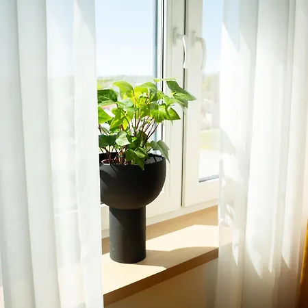 Апартаменты Lux Penthouse With Sauna Раквере